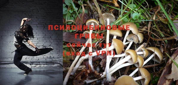 герыч Александровское