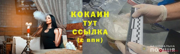 крисы Кущёвская