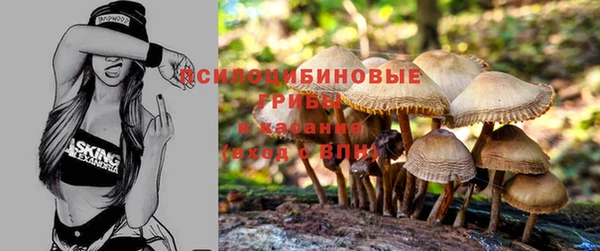 стафф Иноземцево