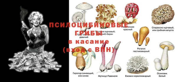 крисы Кущёвская