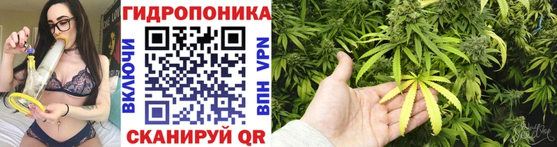 Бошки марихуана индика  Купить где  Кохма 